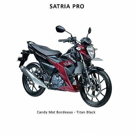 SUZUKI SATRIA PRO